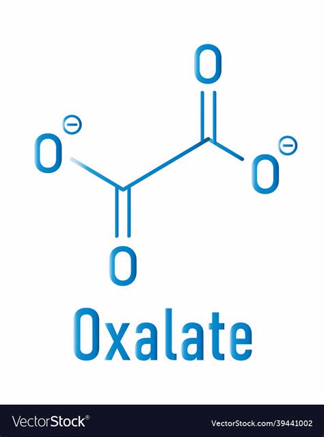 Oxalate anion chemical structure skeletal formula Vector Image