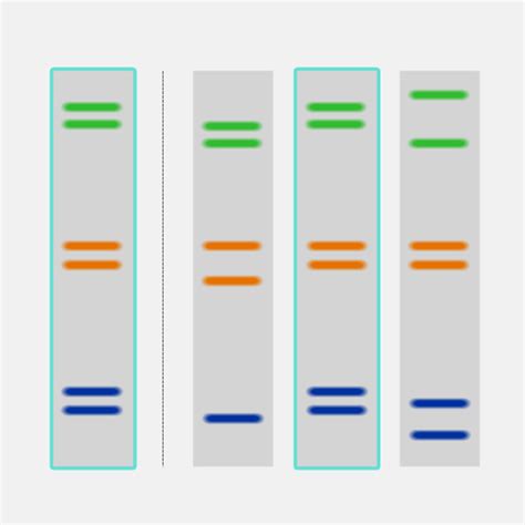 DNA Fingerprinting