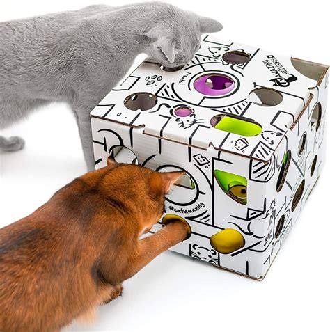 Top10 - Best Interactive Cat Toys in 2023 | PawGearLab