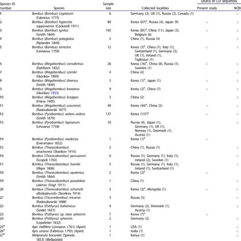 Photographs of fourteen marine shrimp species collected from the... | Download Scientific Diagram