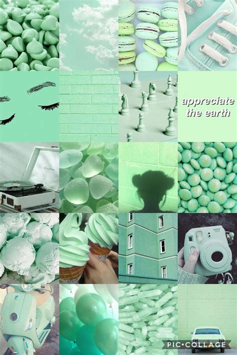 Mintgreen wallpaper #astheticwallpaperiphonenature | Iphone wallpaper green, Mint green ...