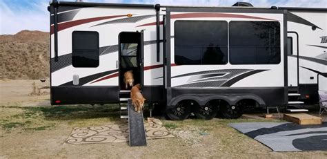 Tips For Choosing & Using An RV Dog Ramp | GoPetFriendly