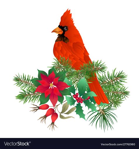 Cardinal bird - symbol christmas Royalty Free Vector Image