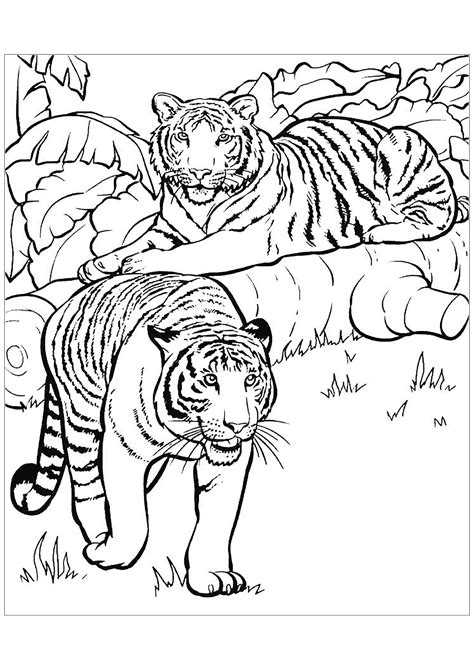 Complex Coloring Pages Tiger Coloring Coloring Pages