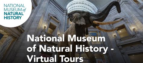 National Museum of Natural History – Virtual Tours – All Things Girl Scouts