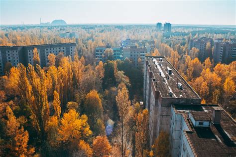 Chernobyl: A Sanctuary of Wildlife - KURIOUS