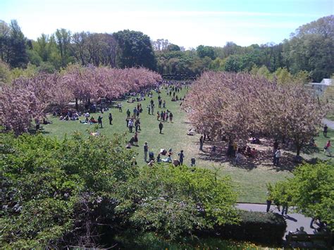 Pay a Visit: Brooklyn Botanic Garden in the Spring