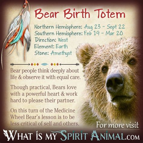 Bear Totem | Native American Zodiac Signs & Birth Signs