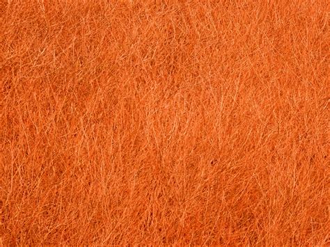 Orange Texture Background Free Stock Photo - Public Domain Pictures