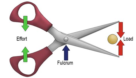 Three Types of Lever Systems: First Class Lever - Mammoth Memory definition - remember meaning