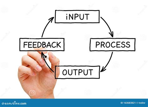 What Is Input Process Output