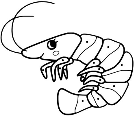 Shrimp Coloring Pages Printable Coloring Pages