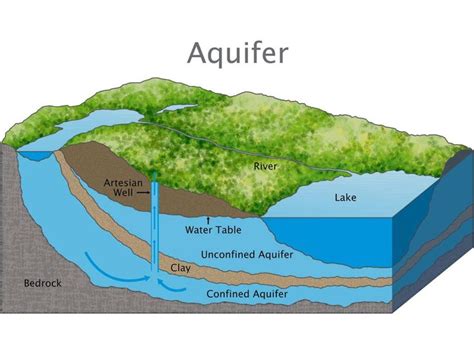 Aquifer Water Table Diagram Water Table Aquifer Diagram