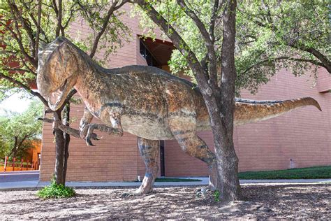 The 8 Best Museums in Fort Worth, Texas