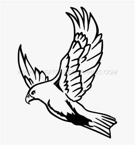 Flying Hawk Drawing At Getdrawings - Falcon Drawing Transparent PNG - 604x800 - Free Download on ...