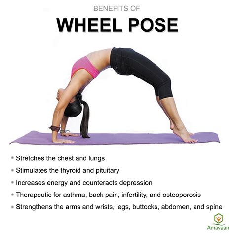 15+ Advanced Yoga Wheel Poses | Yoga Poses