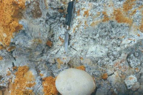 Granitic saprolite with Coastal Plain cobbles and weathered soil above.... | Download Scientific ...