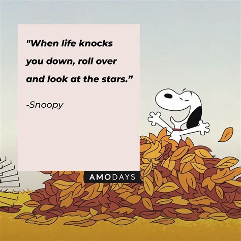 57 Uplifting Snoopy Quotes to Remedy a Tough Day