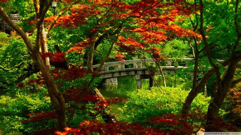 🔥 [46+] Japanese Garden Wallpapers Free | WallpaperSafari