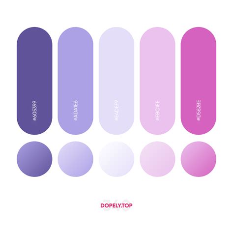 √ Purple Color Palette Hex