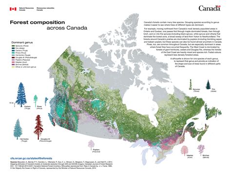 Forest Resources: Ontario Forest Resources Inventory