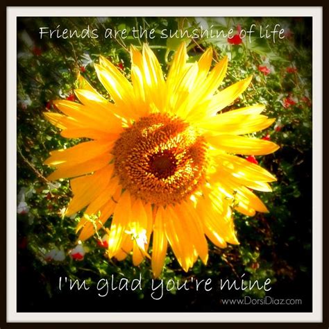 Sunflower Friendship Quotes. QuotesGram | Sunflower quotes, Friendship quotes, True friends quotes