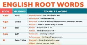 Root Words: Boost Your English Vocabulary With 45 Root Words - My English Tutors