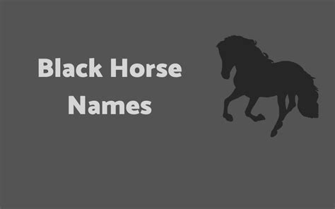 400+ Black Horse Names - Male & Female Name ideas - Equine Desire