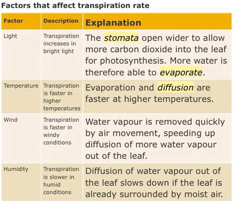 😎 Factors of transpiration. Plant and Soil Sciences eLibrary. 2019-01-12