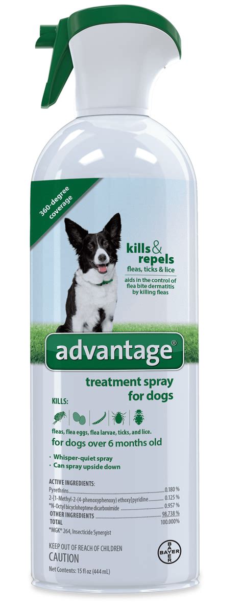 Good Flea And Tick Prevention For Dogs