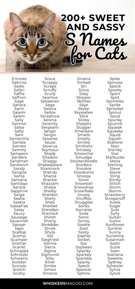 200+ Sweet and Sassy S Names for Cats - Whiskers Magoo | Cute cat names, Cute pet names, Girl ...