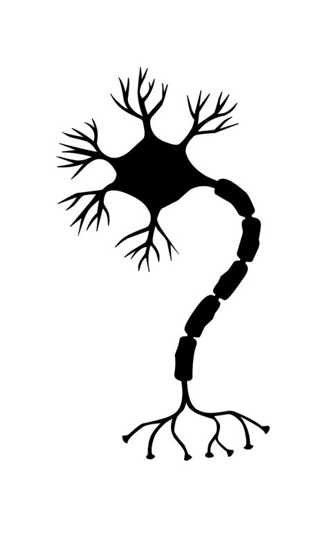 Neuron Svg