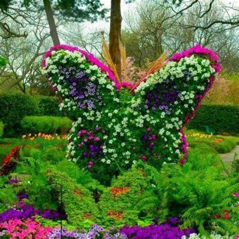 Butterfly" | Flower garden design, Flower garden, Cute garden ideas