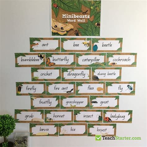 27 Practical Word Wall Ideas for the Classroom | Teach Starter