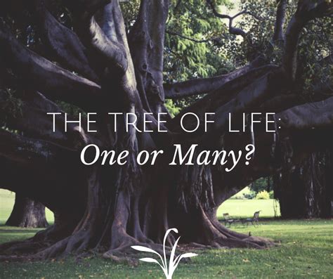 The Tree of Life: One Tree or Many? (Revelation 22:2) – Grace Evangelical Society