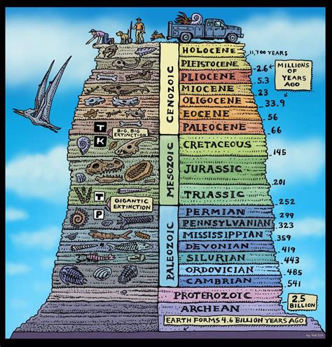 Trollart • Fossils | History of earth, Geologic time, Geologic time scale