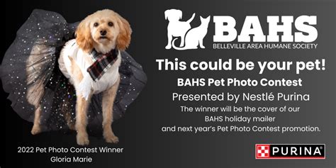 Pet Photo Contest - Belleville Area Humane Society