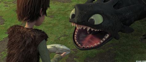 Hiccup & Toothless - How to Train Your Dragon Photo (9626254) - Fanpop