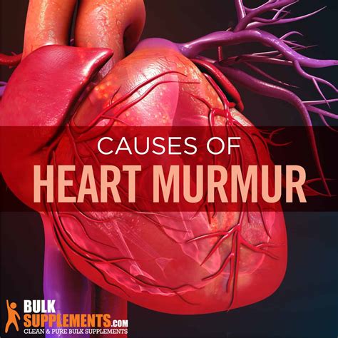 Heart Murmur. Don't Let it Break You. Find out How to Manage Murmurs