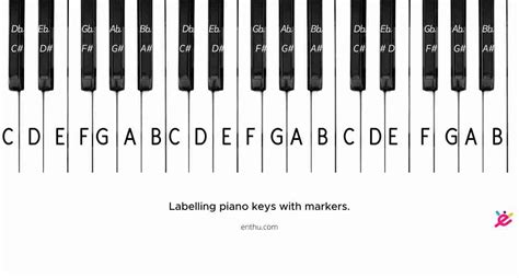 How to Label Piano Keys? [Pictures Included] - EnthuZiastic