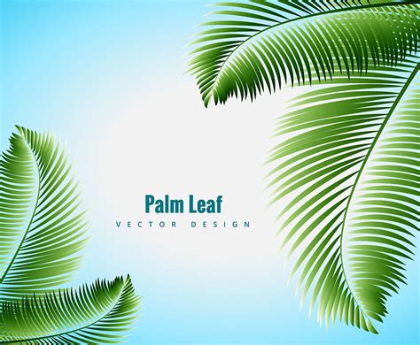 Palm Leaf Vector Vector Art & Graphics | freevector.com