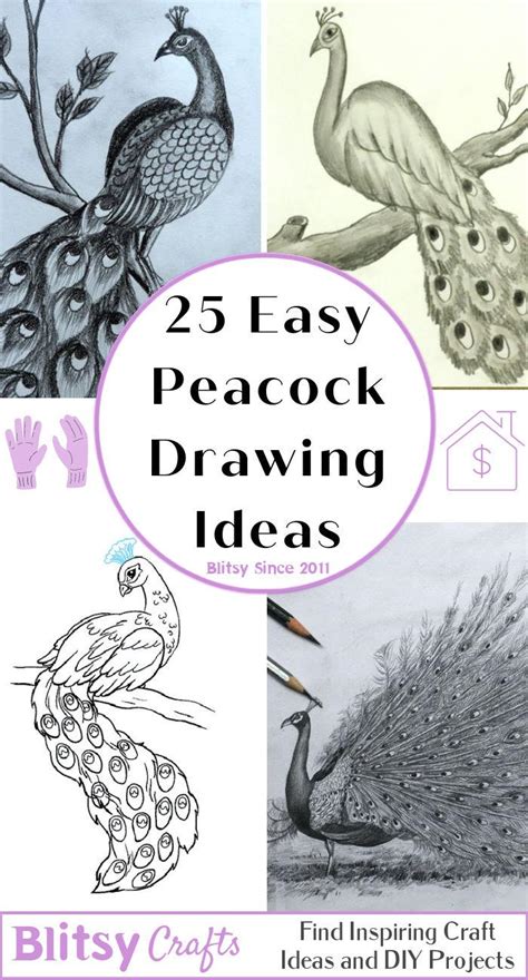 25 Easy Peacock Drawing Ideas - How to Draw Peacock