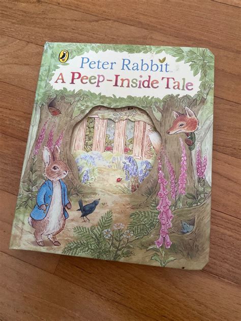 Peter Rabbit Kids Book, Hobbies & Toys, Books & Magazines, Children's Books on Carousell