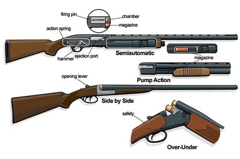 Types Of Shotgun Shells