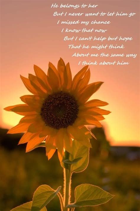 Sunflower Friendship Quotes. QuotesGram