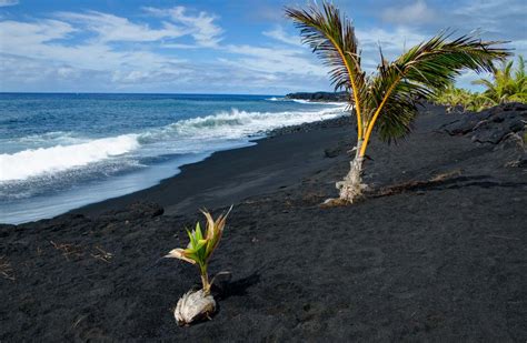 Black Sand Beaches on the Big Island / Hawaii - Traveladvo