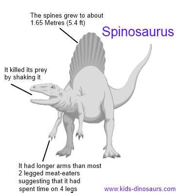 Spinosaurus Dinosaur Facts for Kids