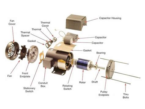 Ac Electric Motor Diagram