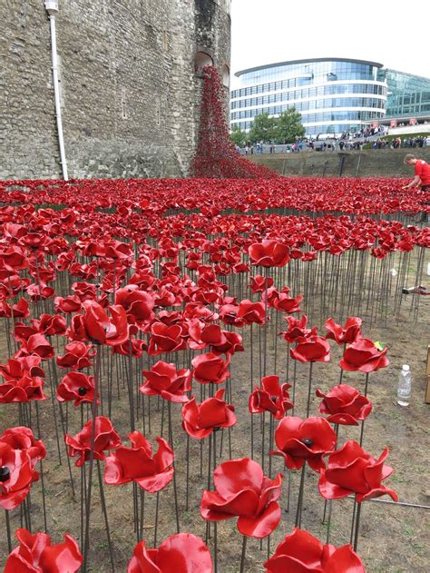 A Sea Of Ceramic Poppies Honors Britain's WWI Dead : NPR