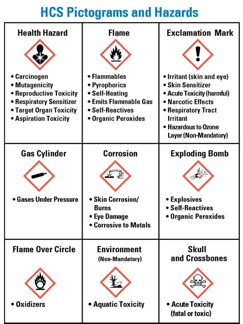 A Visual Guide to HazCom Pictograms, Chemical Labels, and SDS - ZING Green Safety Products